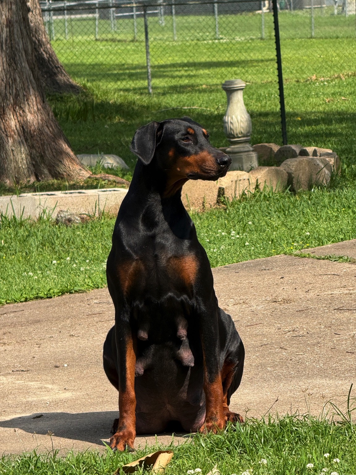 Mya photo 2